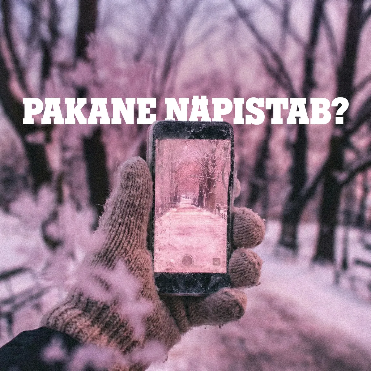 Kuidas nutiseadmeid külmakraadide eest kaitsta?