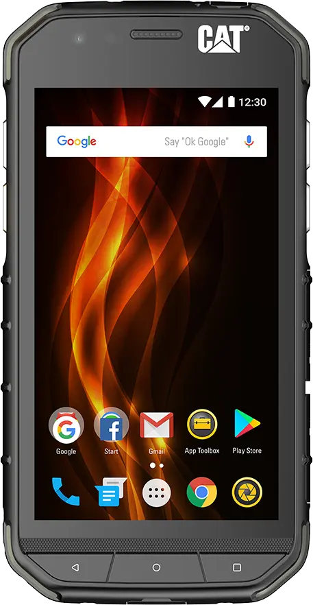 CAT S31