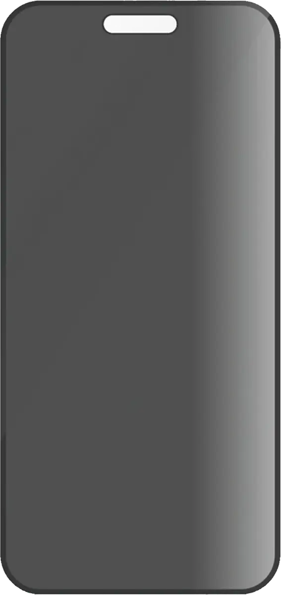 Panzerglass privaatsusfiltriga kaitseklaas iPhone 16