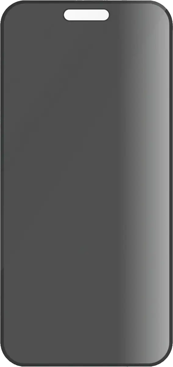 Panzerglass privaatsusfiltriga kaitseklaas iPhone 16 Pro Max