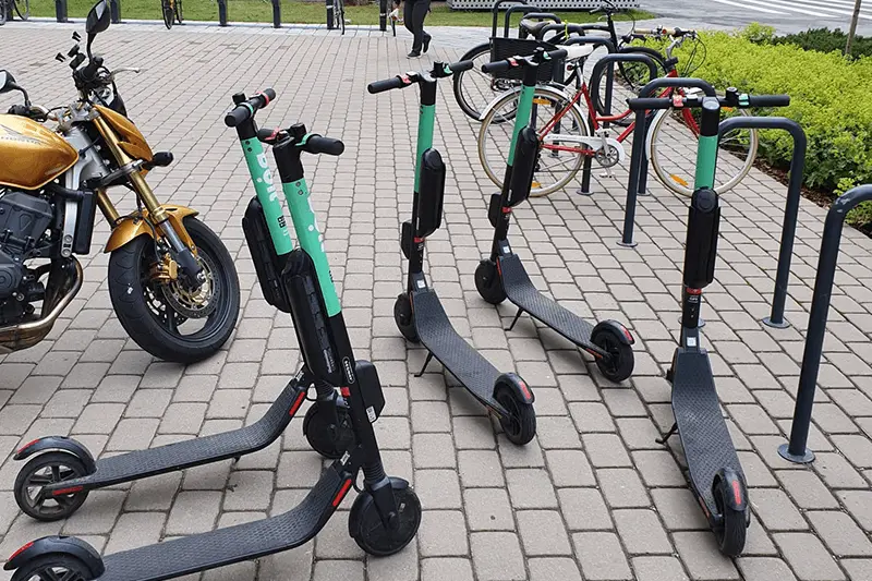tõuks tõuks