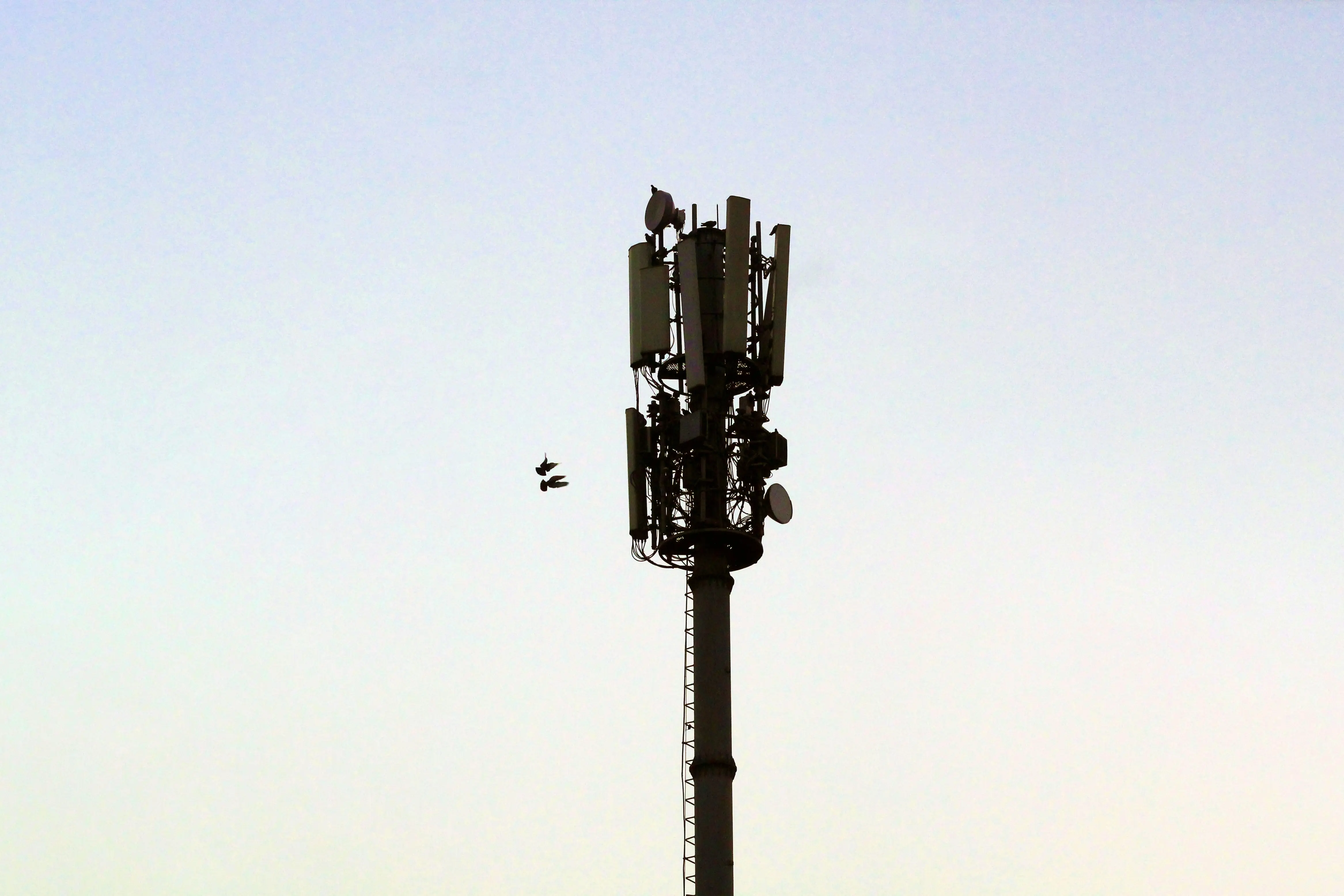 3gnetwork 3gnetwork